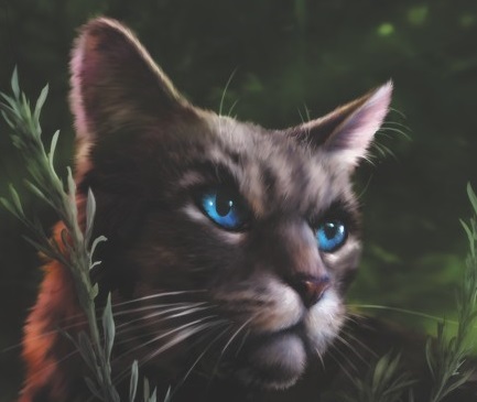 Who are the cats on Power of Three book covers?