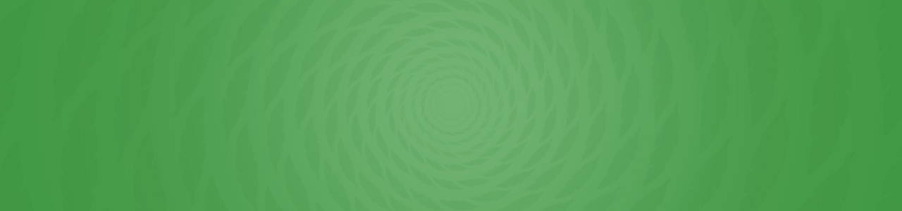 On sale now:  Hidden Moon