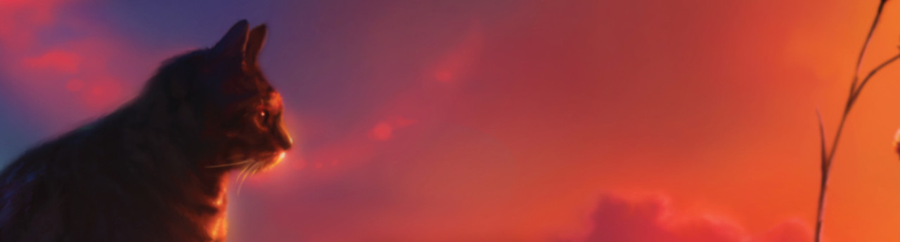 A Warrior’s Choice