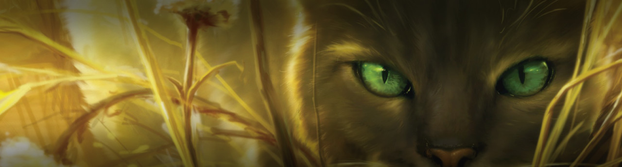 The Fourth Apprentice