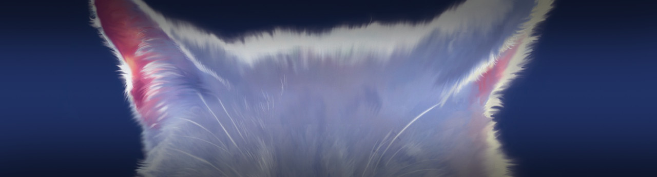 Moth Flight’s Vision