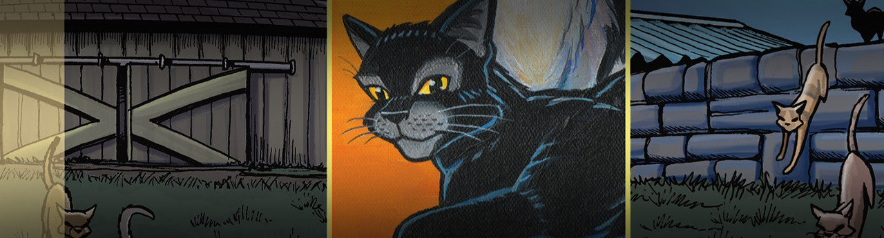 The Heart of a Warrior