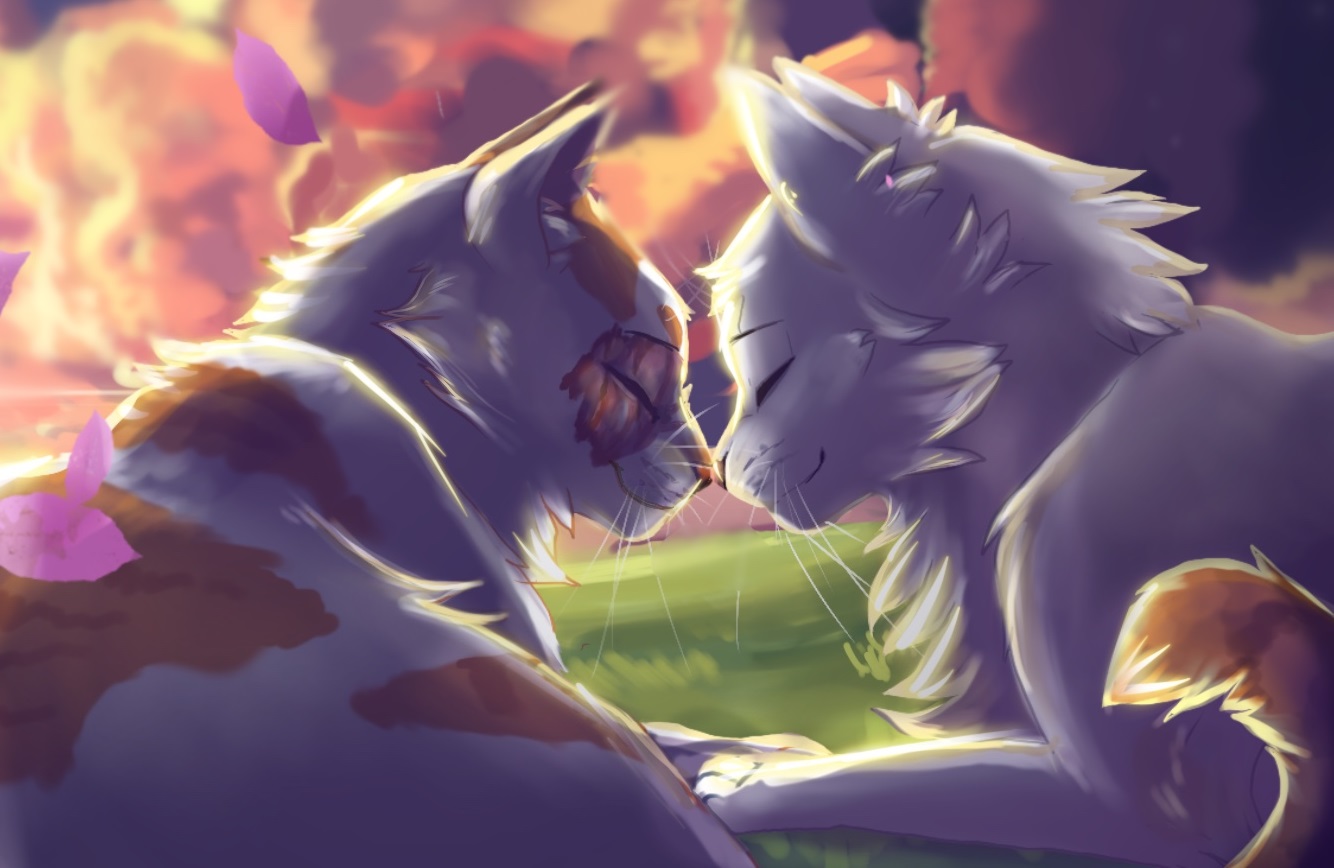Brightheart and Cloudtail: our favorite moments