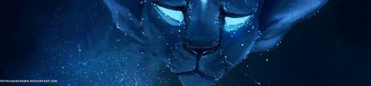 Do you have the herb knowledge it takes to be a medicine cat?