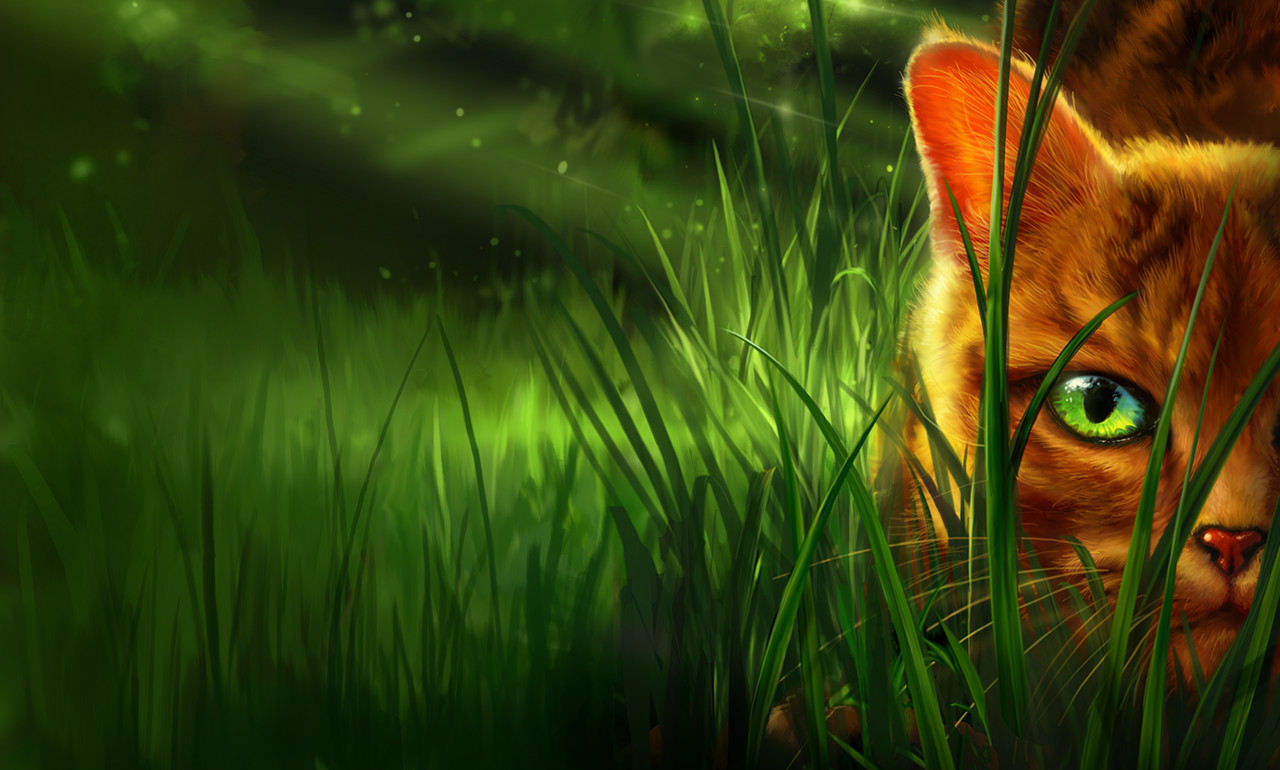 The Prophecies Begin