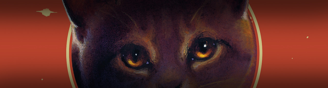 Bramblestar’s Storm