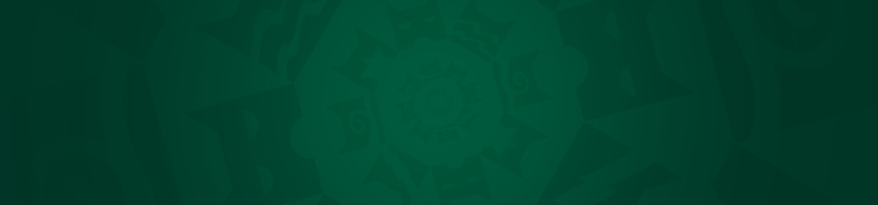 Introduction to the Clans: Warrior Code, glossary, and visual guide