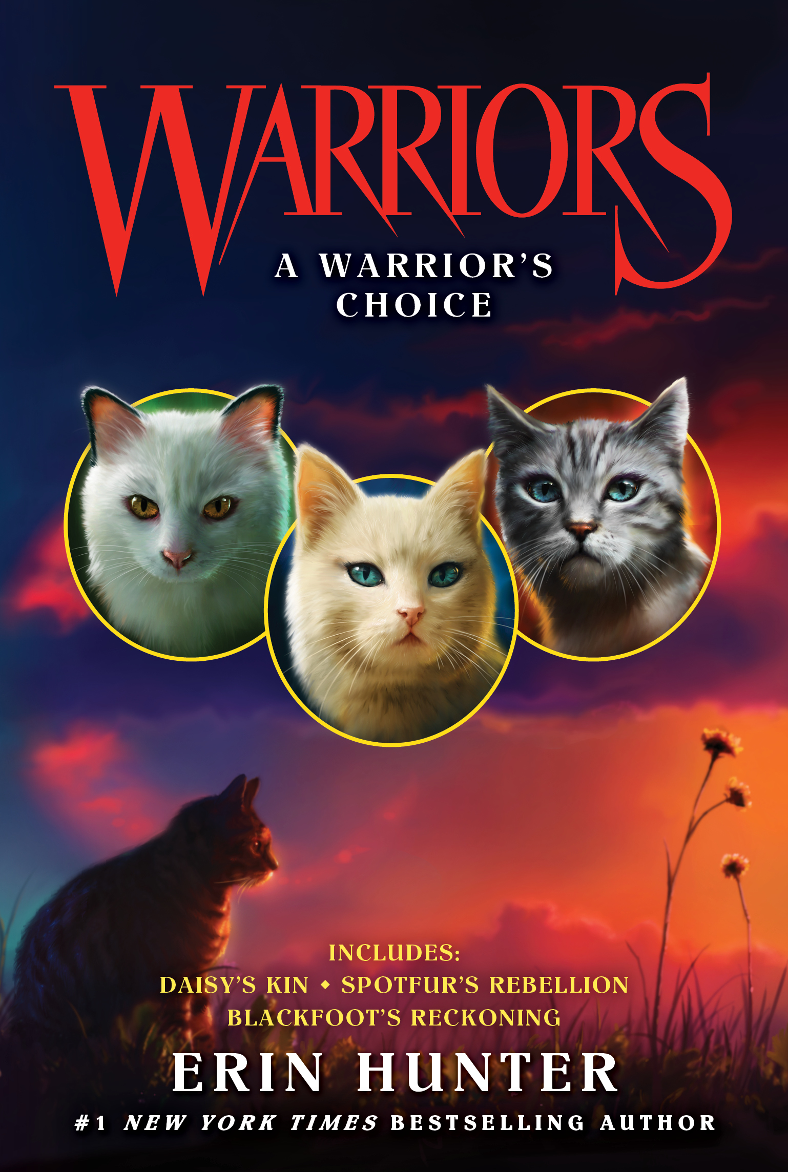 A Warrior’s Choice