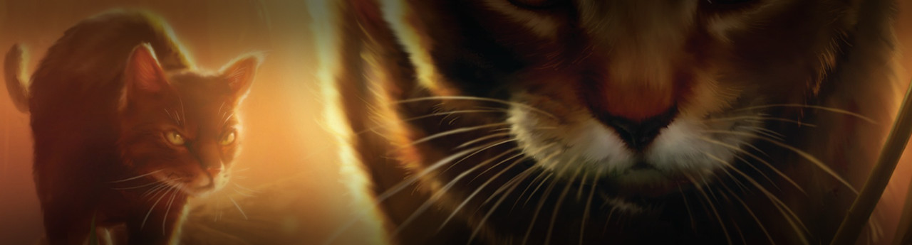 The Apprentice’s Quest