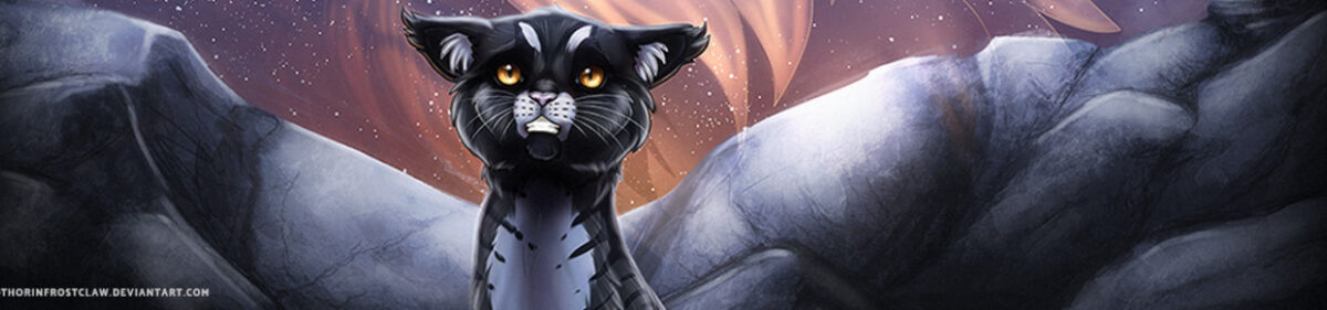 How well do you know the revised warrior code?