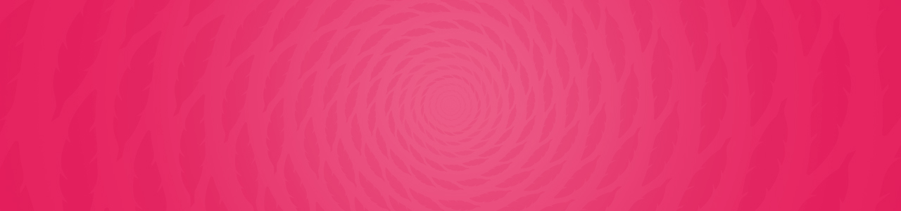 StarClan: a guide for new readers