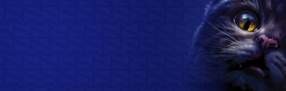 Send us your Mini Plush unboxing videos to receive a signed Vicky Holmes certificate!