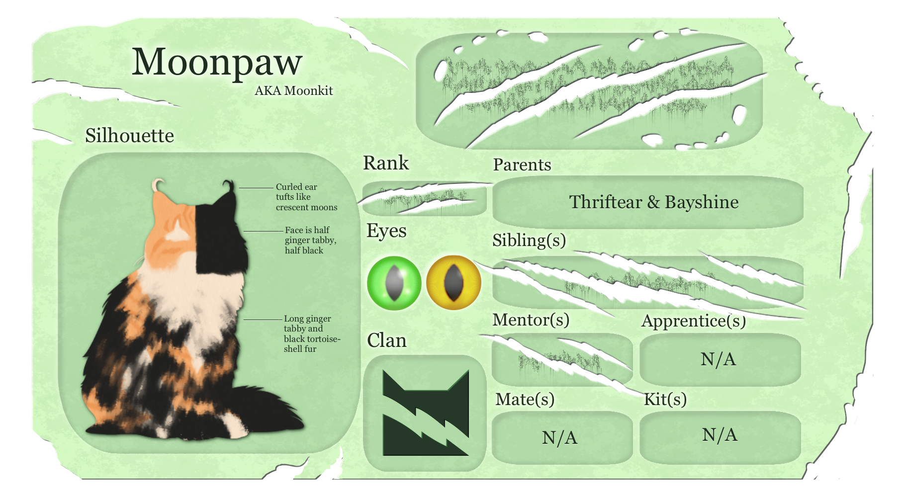 Meet Moonpaw – a look at the new POV character for Changing Skies!