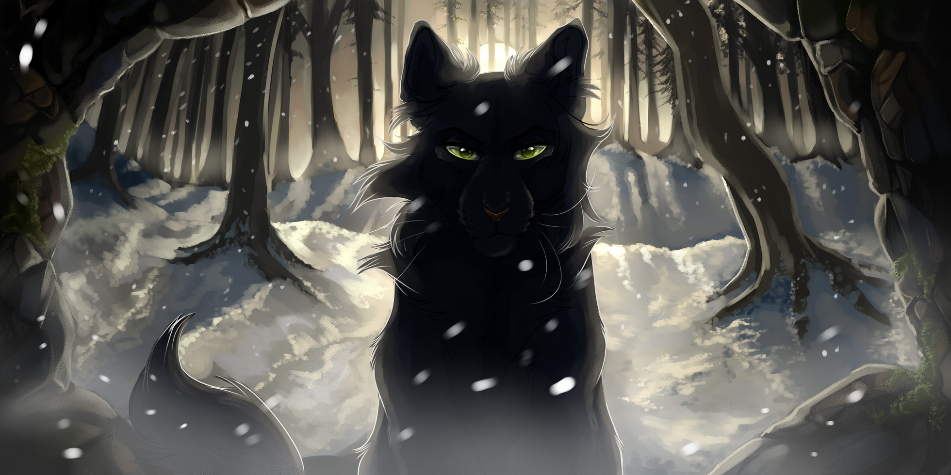 A selection of Lionblaze and Hollyleaf artwork