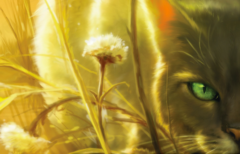 Who are the cats on Omen of the Stars book covers?