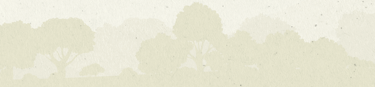 Which Clan do you belong to?