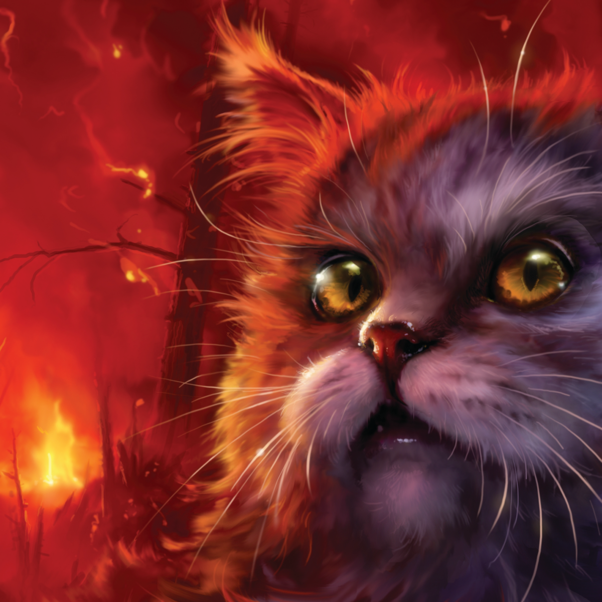 How well do you know Brightheart and Cloudtail?